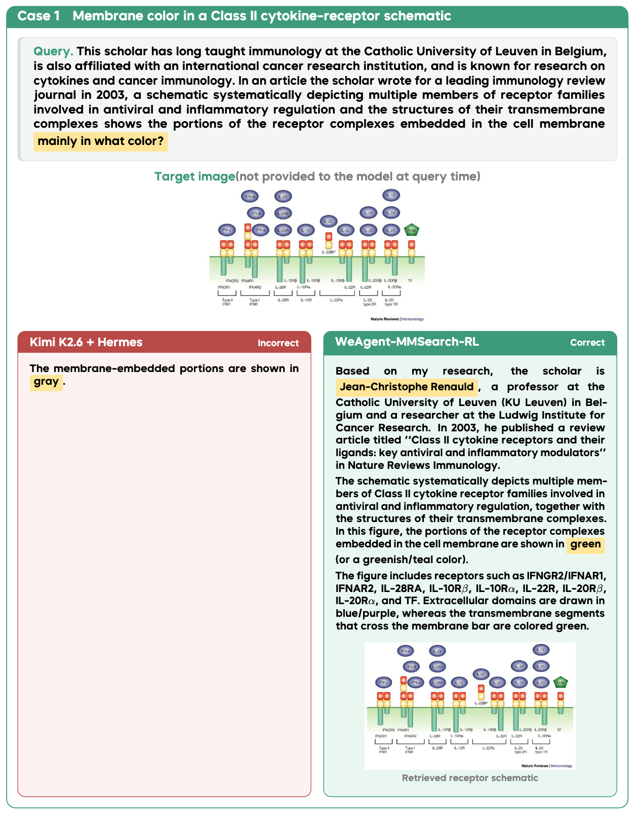 Case 1 comparing a text-only search agent with WeAgent-MMSearch on a cytokine-receptor schematic